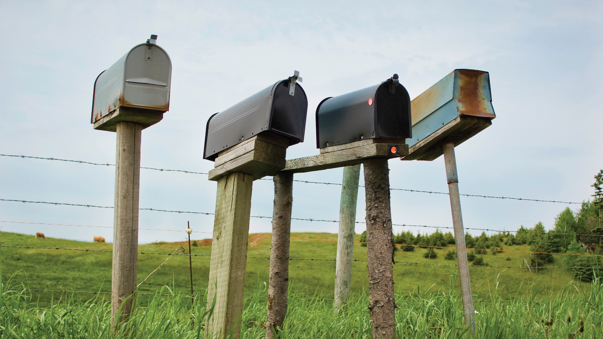 mailboxes